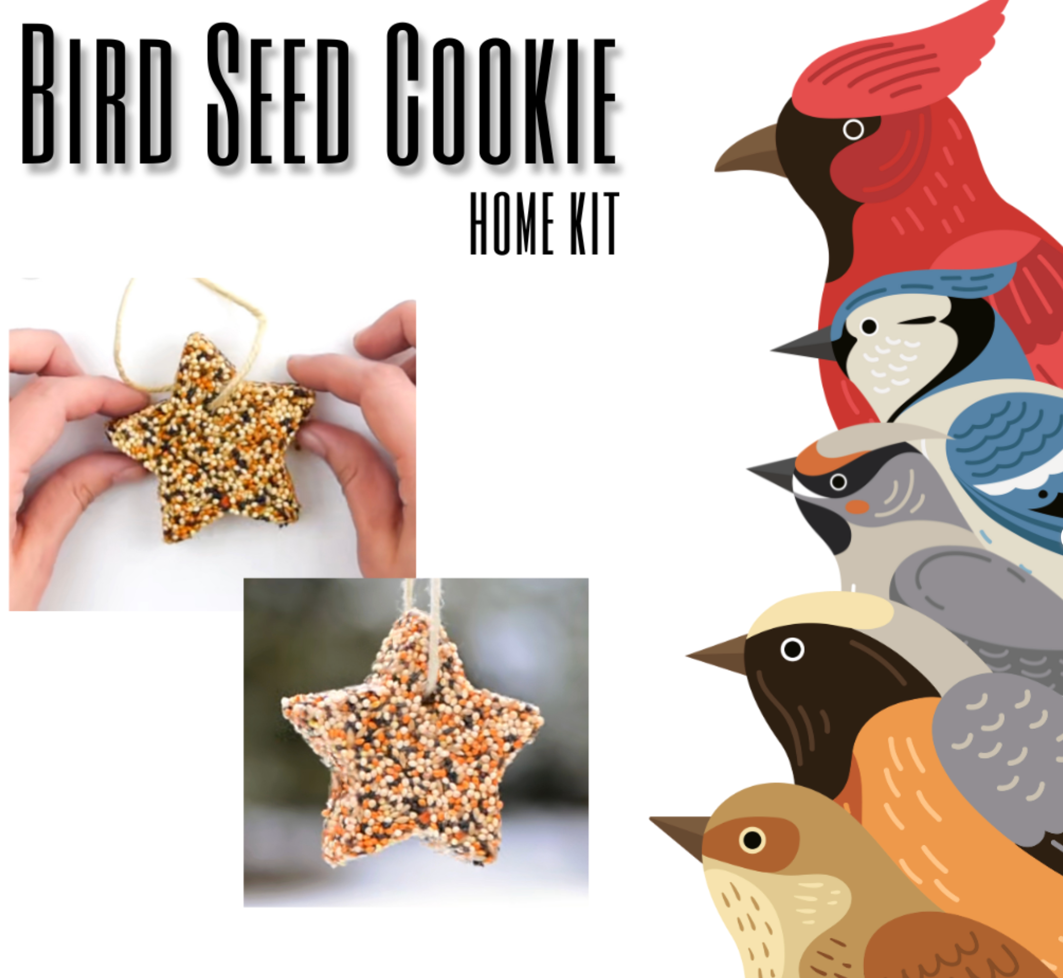 Bird Feeder Cookie