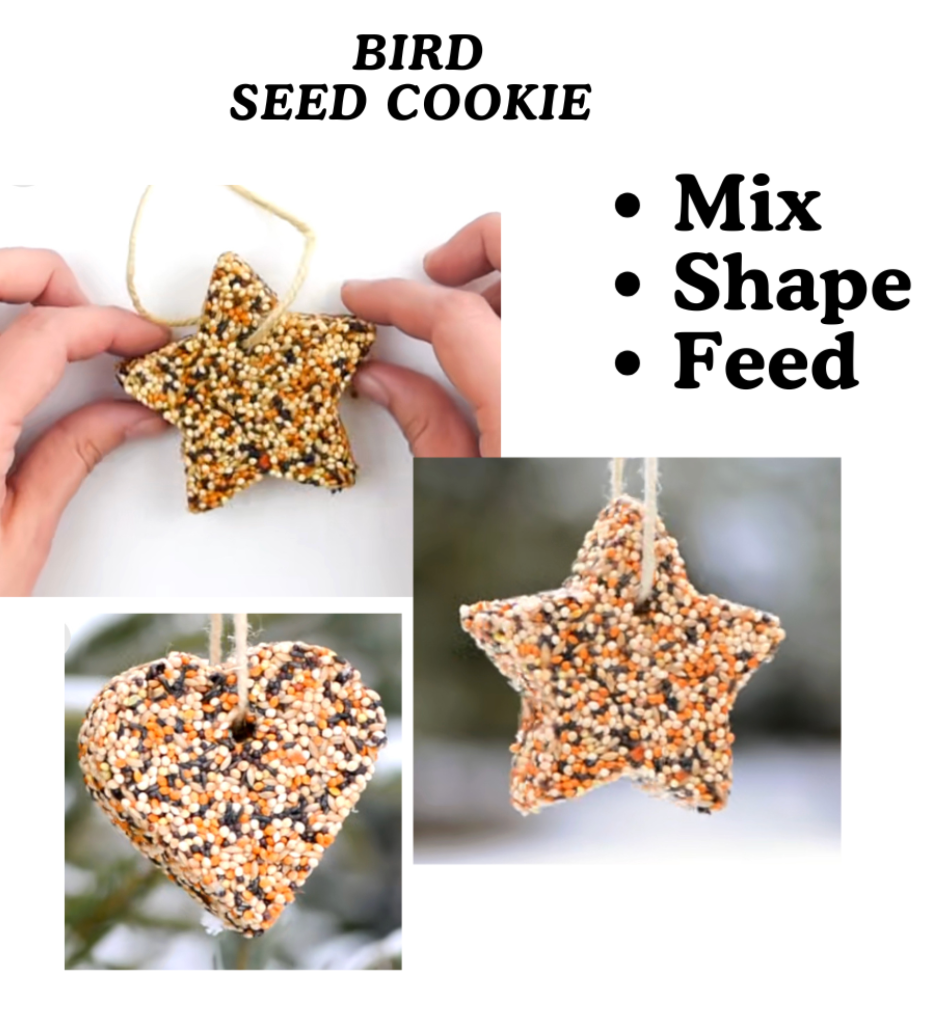 Bird Feeder Cookie